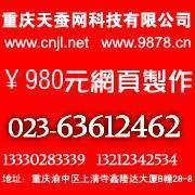 供應(yīng)九龍坡網(wǎng)站建設(shè)公司及軟件開(kāi)發(fā)服務(wù)，助力燈具照明企業(yè)拓展市場(chǎng)