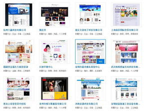 網站建設與軟件開發 融合創新，驅動數字化轉型——基于實際案例的深度剖析